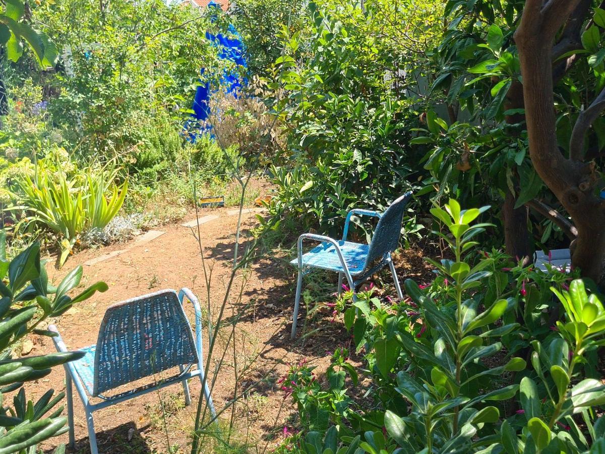 Studio Apartment Garden ドゥブロブニク エクステリア 写真